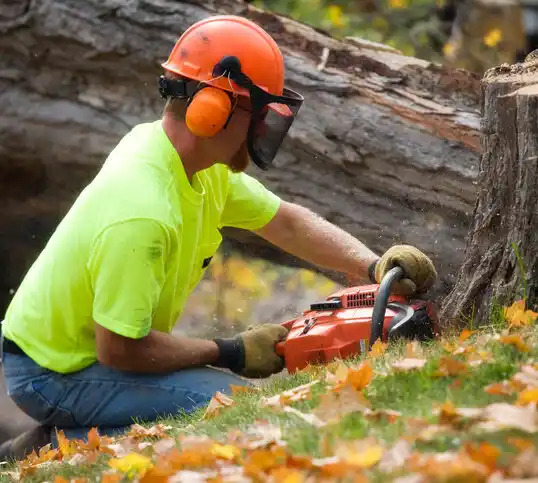 tree services Marrero